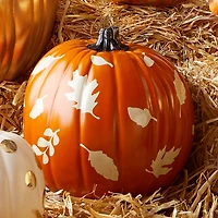 ORACAL® 651 Permanent Adhesive Vinyl