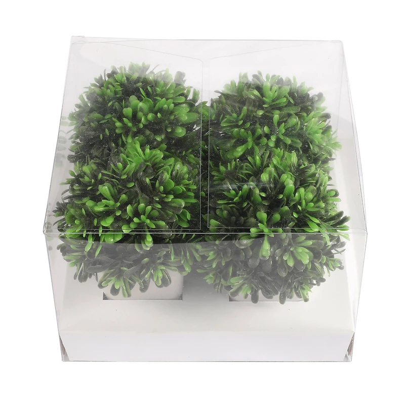3.75" Premade Green Boxwood Topiaries in Plastic Pots, 4ct. by Ashland®