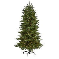 6ft. Pre-Lit South Carolina Fir Artificial Christmas Tree, Clear LED Lights
