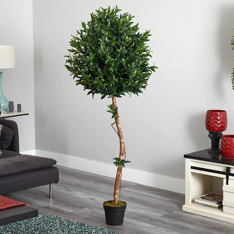 5.5ft. Potted Olive Topiary Tree