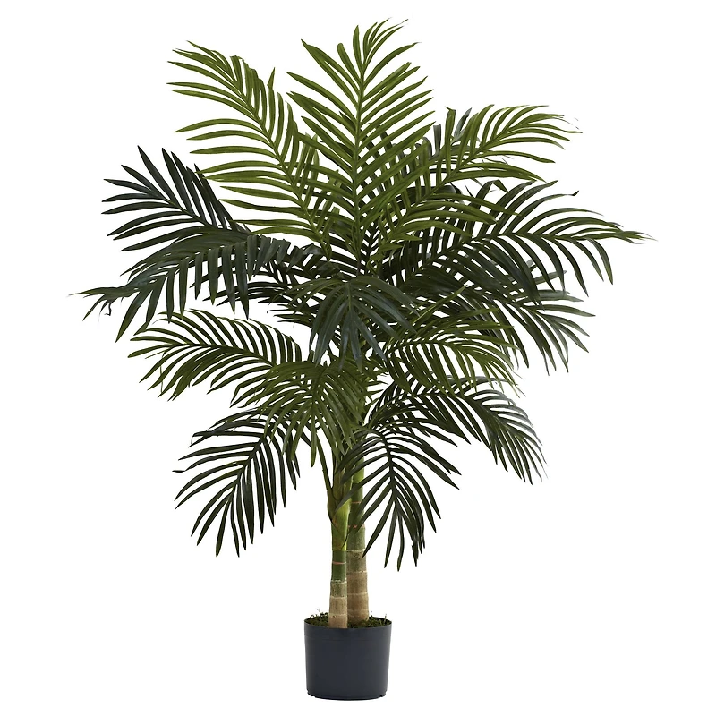4ft. Potted Golden Cane Palm Tree