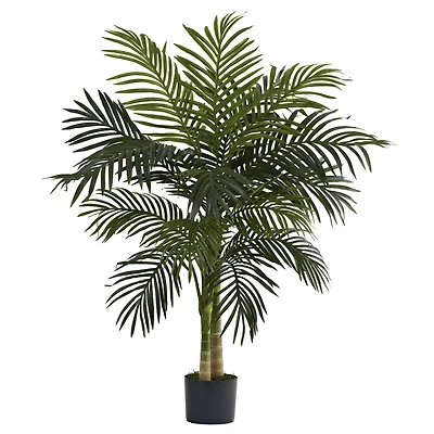 4ft. Potted Golden Cane Palm Tree