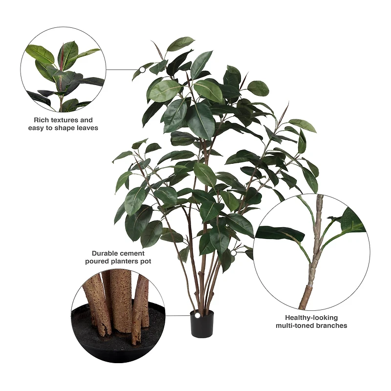 5ft. Potted Green Rubber Tree
