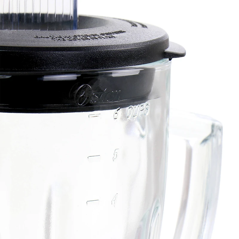 Oster Chrome 2-in-1 System 700 Watt 8-Speed 6-Cup Blender with Personal Blend-n-Go Cup