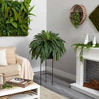 51" Boston Fern Plant in Black Planter with Stand