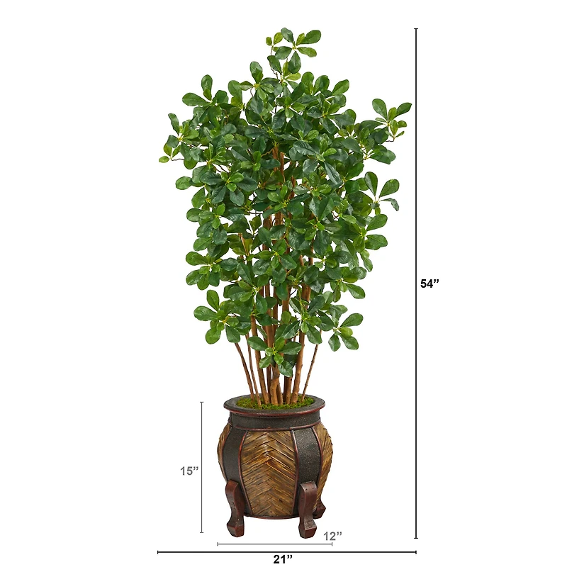 4.5ft. Black Olive Tree in Decorative Planter