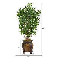 4.5ft. Black Olive Tree in Decorative Planter