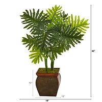3.5ft. Philodendron Plant in Decorative Planter