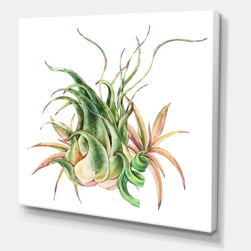 Designart - Tropical Leaves Air Plant Succulent