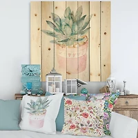 Designart - Cactus and Succulent House Plants II