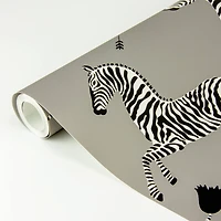 Scalamandre Gray Zebra Safari Peel & Stick Wallpaper