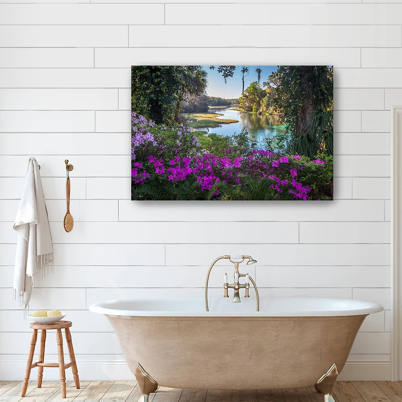Rainbow Springs Canvas Giclee