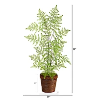 3ft. Ruffle Fern Artificial Tree in Basket