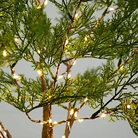 3ft. Pre-Lit Artificial Cypress Tree with Warm White LED Lights