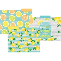 Teacher Created Resources Lemon Zest File Folders, 2 Packs of 12