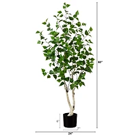 5ft. Potted Green Artificial Birch Tree with Real Touch Leaves