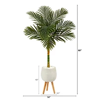 5ft. Golden Cane Artificial Palm Tree in White Planter with Stand