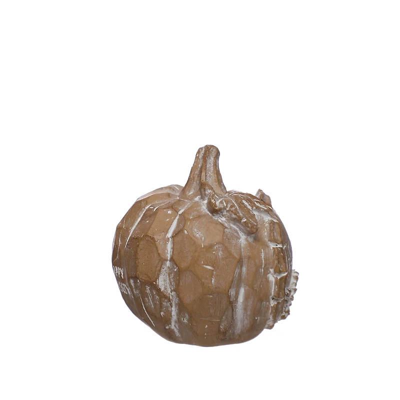 3.75" Thankful Pumpkin Tabletop Décor by Ashland®
