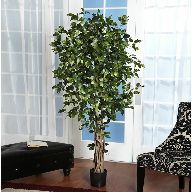 6ft. Potted Palace Style Ficus Tree