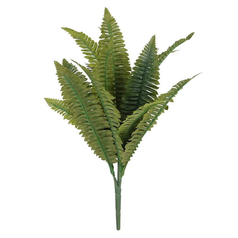 14 Pack: Green Boston Fern Bush by Ashland®