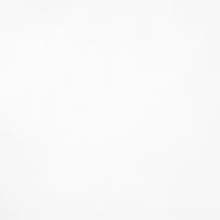 White Tissue Paper by Celebrate It™