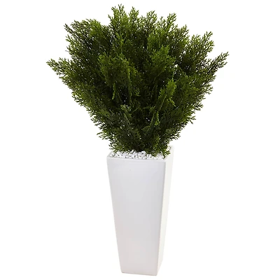 2.5ft. Cedar Plant in White Tower Planter