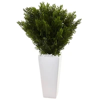 2.5ft. Cedar Plant in White Tower Planter