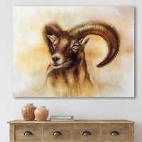 Designart - Portrait of Wild Ram With Mighty Horns I