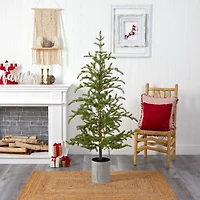 5.5ft. Pre-Lit Pine Artificial Christmas Tree in Decorative Planter, Clear Lights