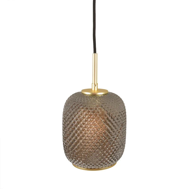 Hello Honey® Smoked Embossed Glass Shade Pendant Lamp with Brass Accents