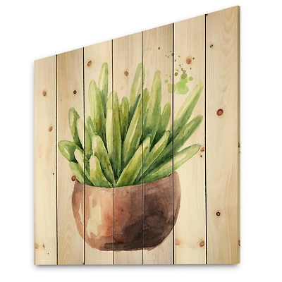 Designart - Succulent Flower In Terracotta Pot I