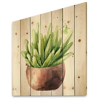 Designart - Succulent Flower In Terracotta Pot I