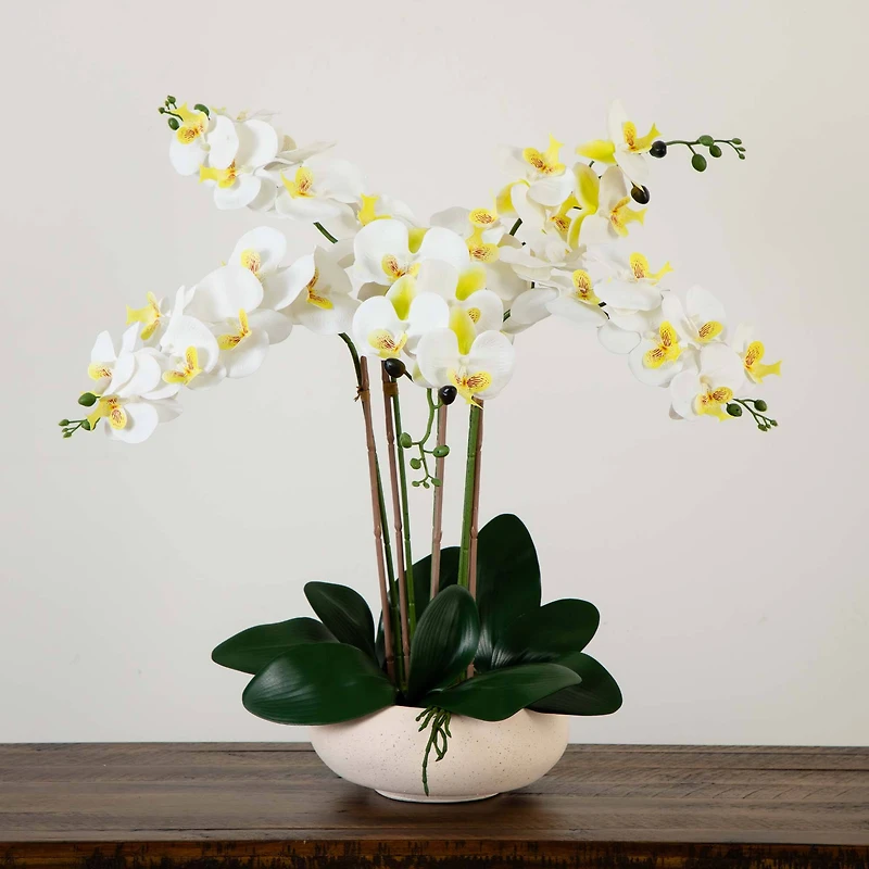 23" Orchid Arrangement in White Ceramic Planter