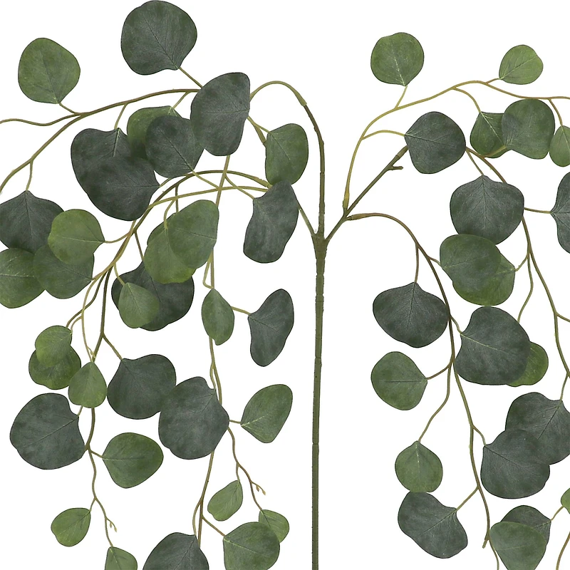 24" Round Eucalyptus Stem by Ashland®