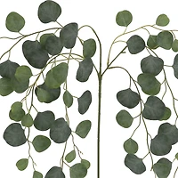 24" Round Eucalyptus Stem by Ashland®