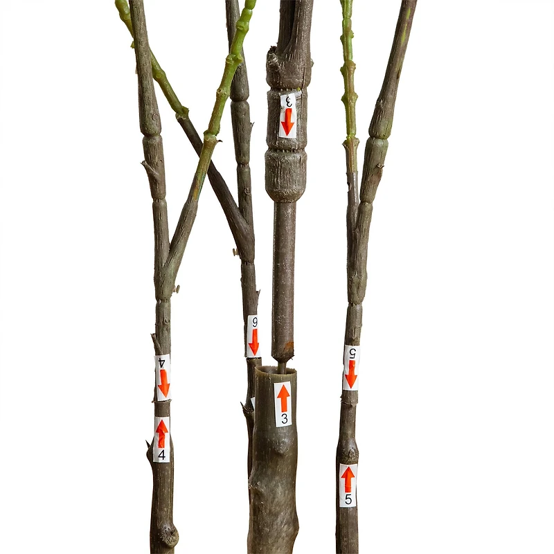 5ft. Artificial Heart Shaped Ficus Leaf Tree