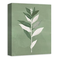 Painted Sage Leaves 11" x 14" Canvas Wall Art