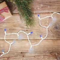 100ct. LED Mini Christmas Lights With White Wire