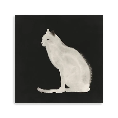 Midnight Cat Canvas Giclee