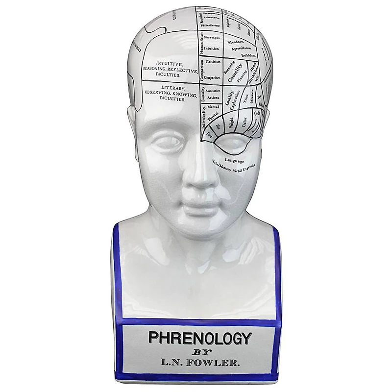 Design Toscano Porcelain Phrenology Head Statue