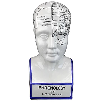 Design Toscano Porcelain Phrenology Head Statue
