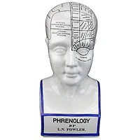 Design Toscano Porcelain Phrenology Head Statue