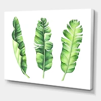 Designart - Tropical Banana Leaves Set