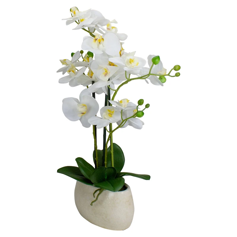 22" White Orchid Plant in White Oval Pot