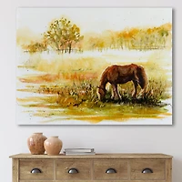 Designart - Horse Grazing On A Meadow