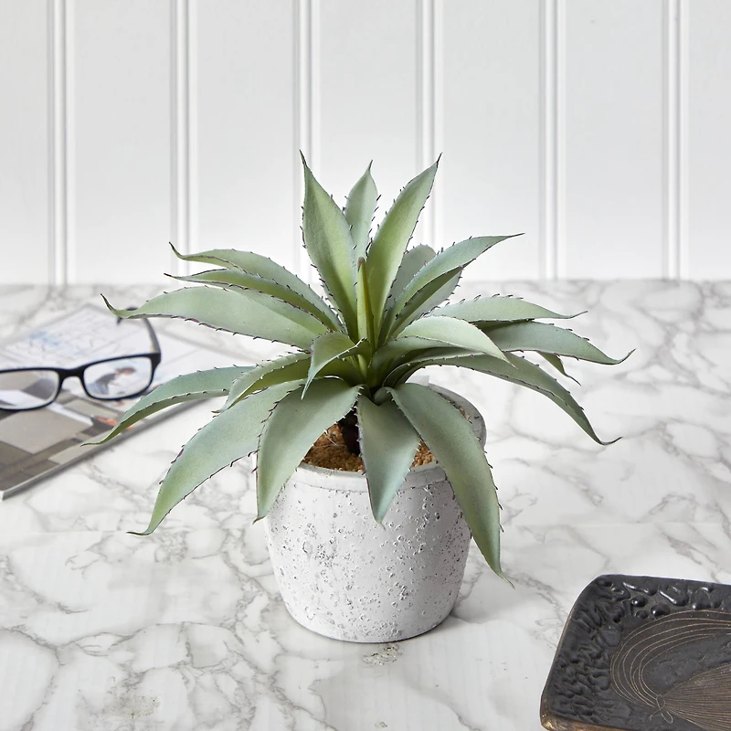 9" Potted Aloe Succulent Plant