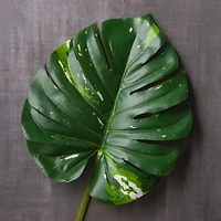 Monstera Leaf Stem by Ashland®