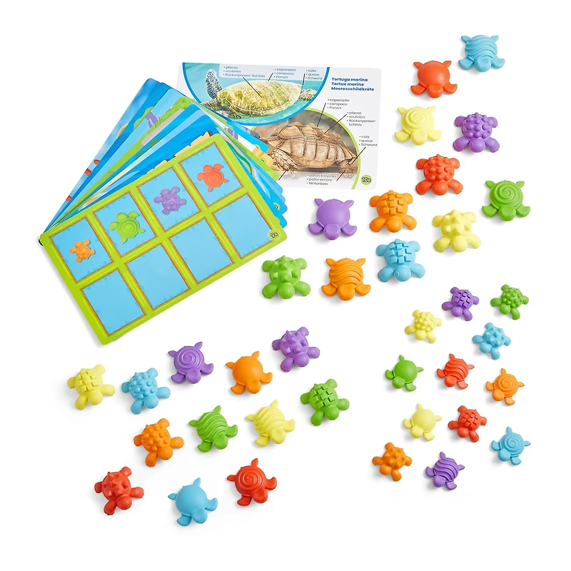hand2mind Tactile Turtles Math Activity Set