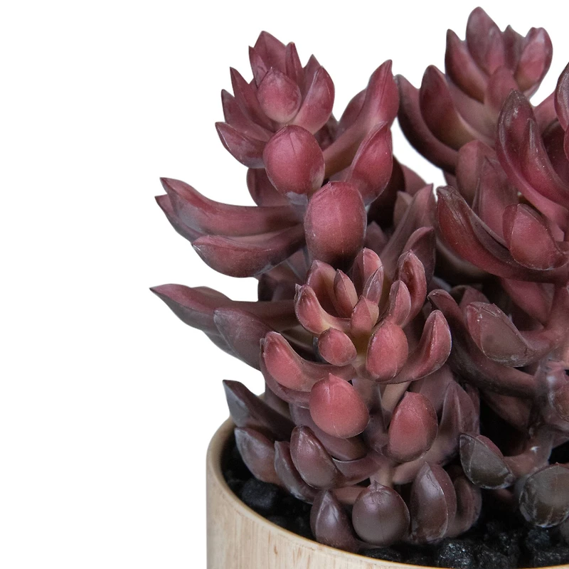 7" Purple Succulent in Faux Wood Pot