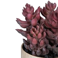 7" Purple Succulent in Faux Wood Pot